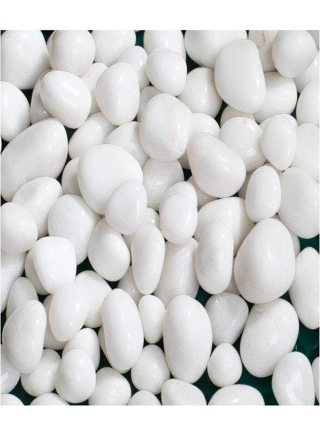 Schmick White Pebbles for Plants Pots - Pebbles for Decoration - Pebbles for Garden, Fish Tank Aquarium, Table, Vase Fillers (900 Grams, White Stones) - Image 1